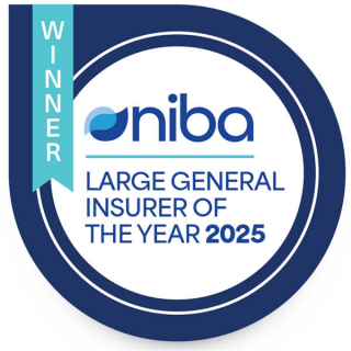 2025 NIBA - Large Insurer of the Year Award badge