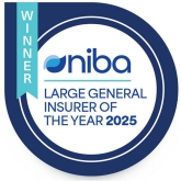 2025 NIBA - Large Insurer of the Year Award badge