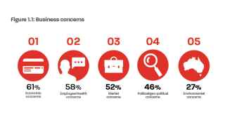 Business concerns graph