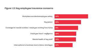 Key employee insurance concerns