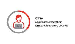 Remote workers graph