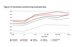 Business concerns by business size graph