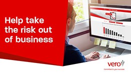 Person at desk viewing graphs on screen; red text reads "Help take the risk out of business" with Vero logo and tagline.