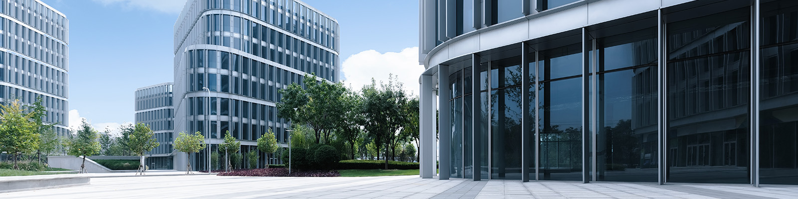 Office building surrounded by green trees