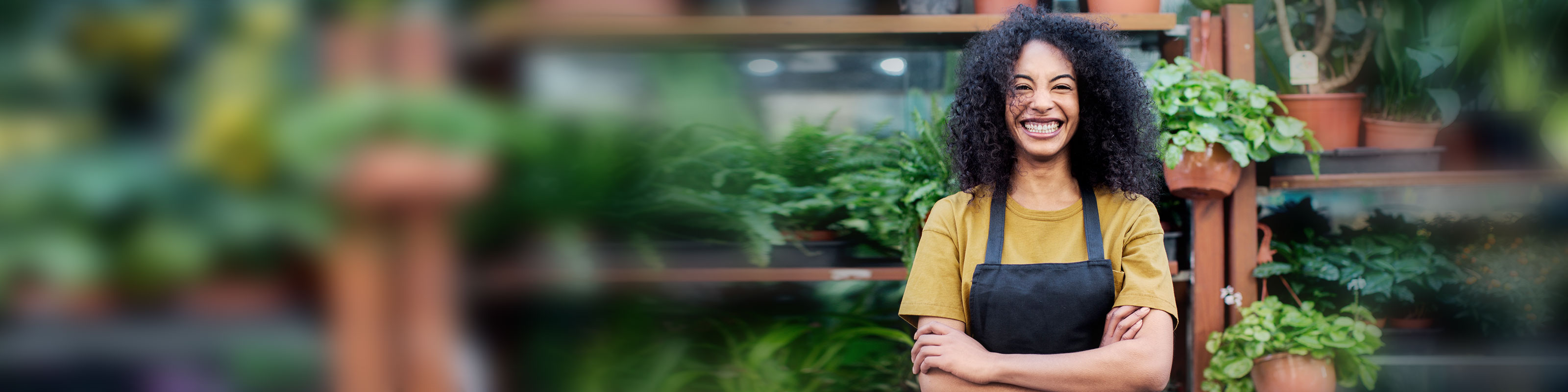 Small to medium business insurance